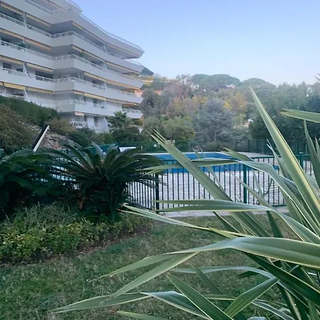 Vue Apartamento *
