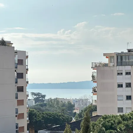 Vue * קאן