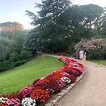 Vue